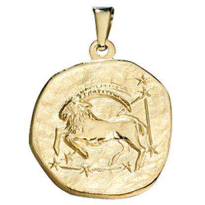 Anhänger Sternzeichen "Steinbock" 333 Gelbgold rund