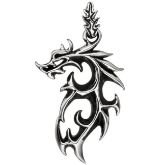 Anhänger "Drache" Edelstahl/teilgeschwärzt