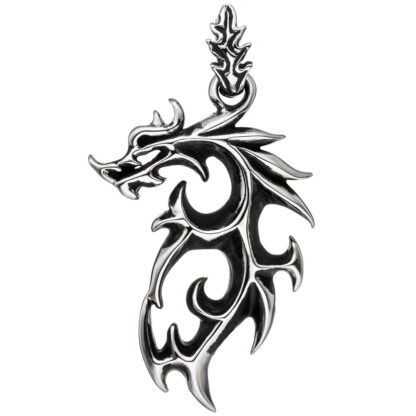 Anhänger "Drache" Edelstahl/teilgeschwärzt