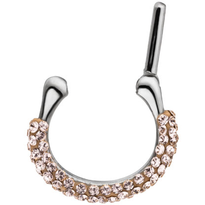 Piercing/Segmentring Edelstahl mit SWAROVSKI® ELEMENTS champagner – Bild 2