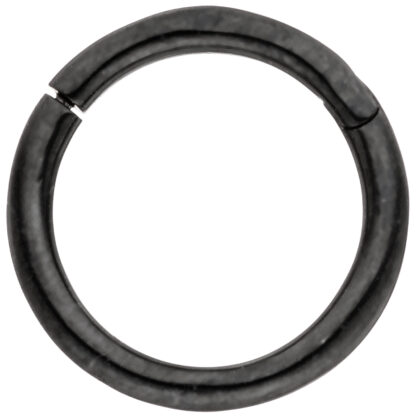 Segmentring rund Edelstahl/PVD schwarz