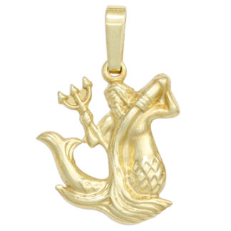 Anhänger Sternzeichen Figur "Wassermann" 333 Gelbgold