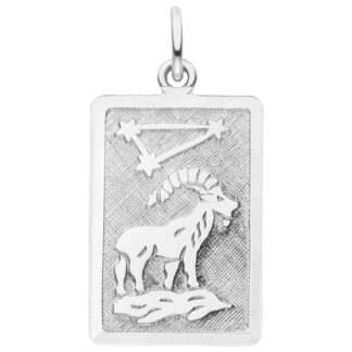 Ein rechteckiger Silerbanhänger mit der Figur des Steinbock und dem Sternenbild darüber. Die tiefen Stellen sind mattiert.